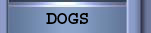 Dog Gallery